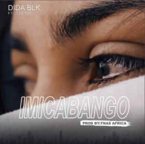 Didablk Ft. L.DeeKay – Imicabango