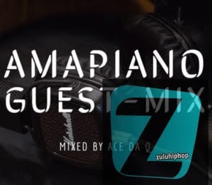 Ace da Q ft Chameleon, Mambisa II & Sgubu Ses Excellent – AMAPIANO GUEST-MIX 6