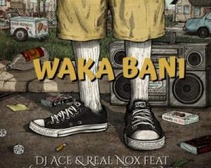 DJ Ace & Real Nox ft. Vinox_Musiq, DJ Yeka & NYL – Waka Bani