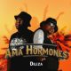 Diliza ft Professor – Ama Hormones