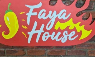 DJ Ace – Faya House (Spring Day Amapiano Mix)