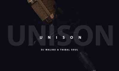 DJ Malibu & Tribal Soul – Unison