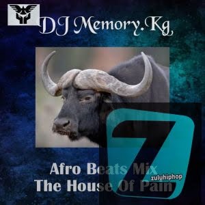 DJ Memory.Kg – Afro Beats Mix (The House Of Pain)