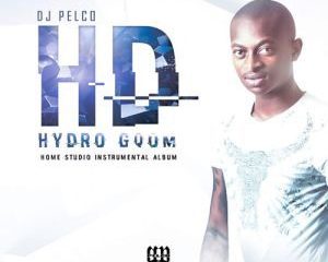 Dj Pelco – Hydro Gqom