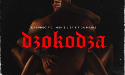 DJ Sphecific ft Tiga Maine & Mshizil SA – Dzokodza