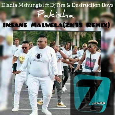 Dladla Mshungisi – Pakisha (Insane Malwela 2K18 Remix) ft. Dj Tira & Distruction Boyz