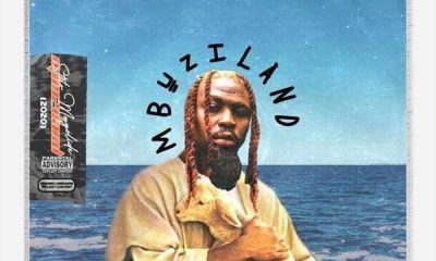 Stilo Magolide – Mbuzi In The Water