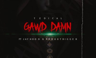 Tedical – Gawd Damn Ft. Jayhood & Pross Trigger