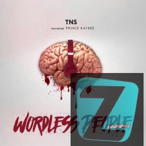 TNS – ‘Wordless People’ ft Prince Kaybee