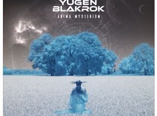 Yugen Blakrok – Picture Box