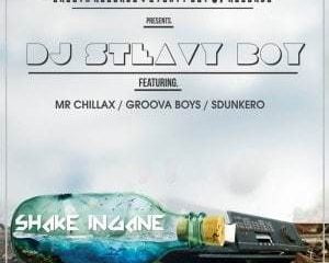 DJ Steavy Boy – Shake Ingane Ft. Mr. Chillax, Groova Boys & Sdunkero