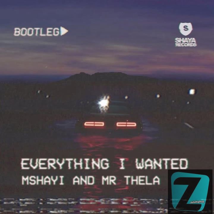 Mr Thela & Mshayi – Everything I Wanted (Bootleg)