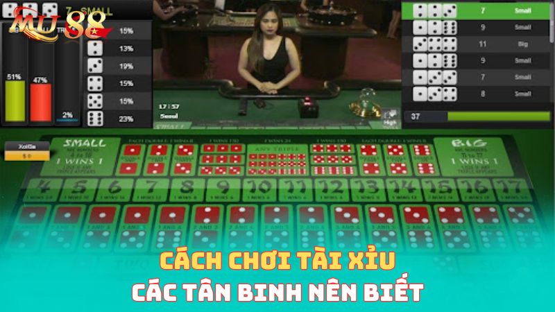 Cách chơi các tân binh nên biết