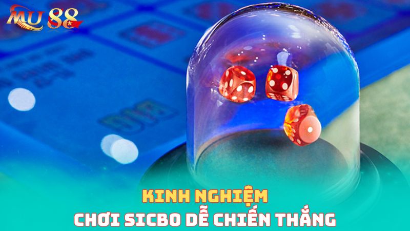 Kinh nghiệm đặt cược tài xỉu