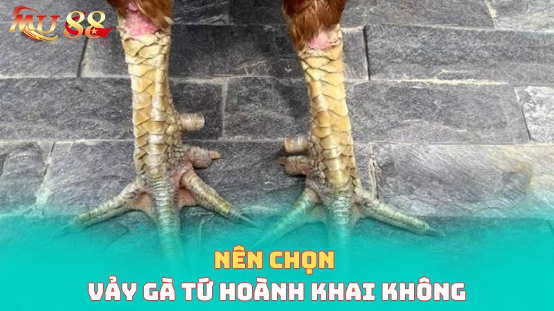 Nên chọn vảy tứ hoành khai không?