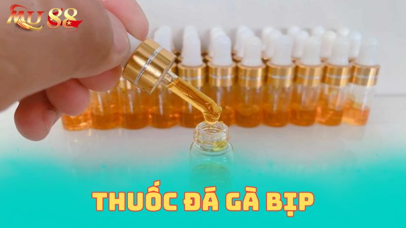 Thuốc đá gà bịp có khái niệm là gì?